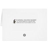 Rufous-tailed Hummingbird Cards (Back Horizontal)