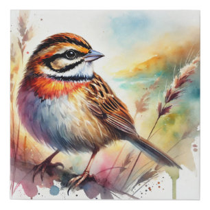 Rufouscollared Sparrow 290924AREF124 - Watercolor Faux Canvas Print