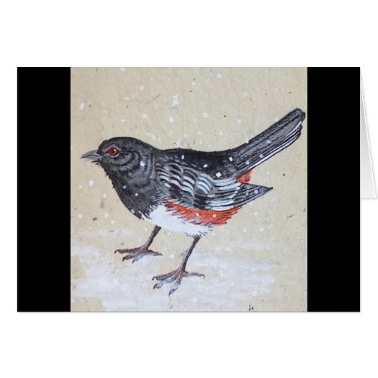 Rufus Sided Towhee (Front Horizontal)