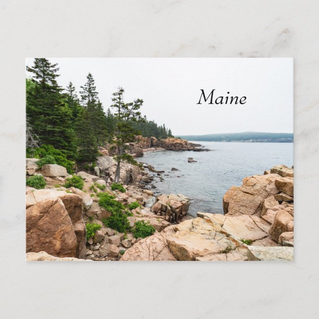 Rugged Maine coast in Acadia National Park Postcard (Front)