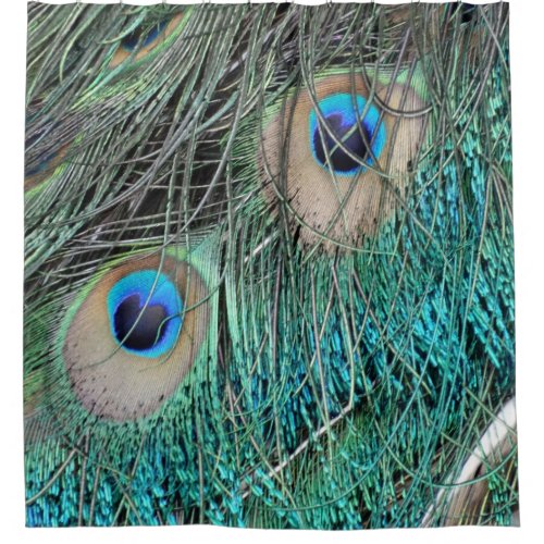 Rugged Peacock Feathers With Cool Blue Shower Curtain