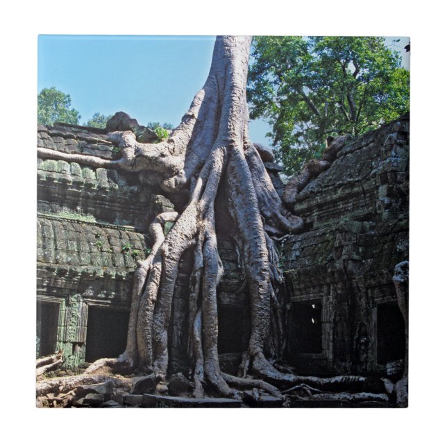 Ruin of Ta Prohm - Angkor Wat, Cambodia, Asia Ceramic Tile (Front)