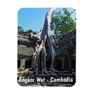 Ruin of Ta Prohm - Angkor Wat, Cambodia, Asia Magnet