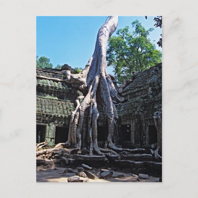 Ruin of Ta Prohm - Angkor Wat, Cambodia, Asia Postcard (Front)