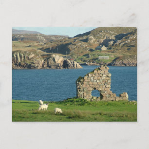 Ruin on Iona Postcard