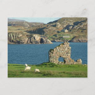 Ruin on Iona Postcard