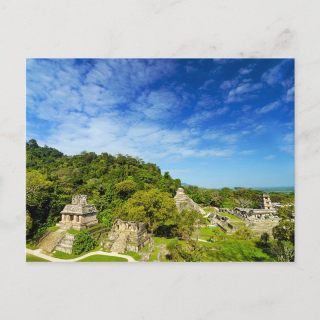 Ruinas en Palenque, México Postcard (Front)