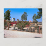 Ruins Of  Capernaum, Galilee Postcard at Zazzle