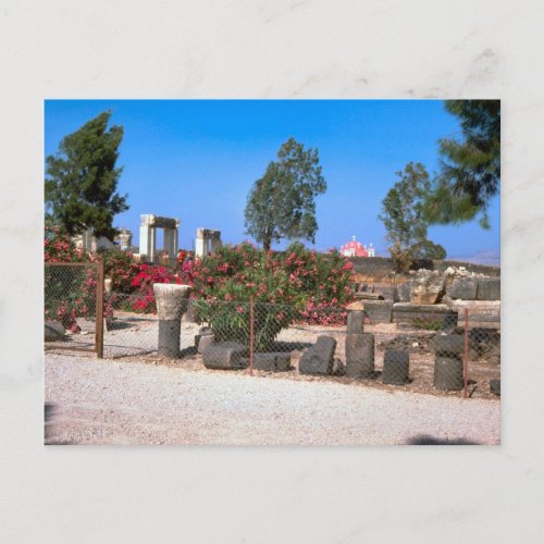 Ruins of  Capernaum Galilee Postcard