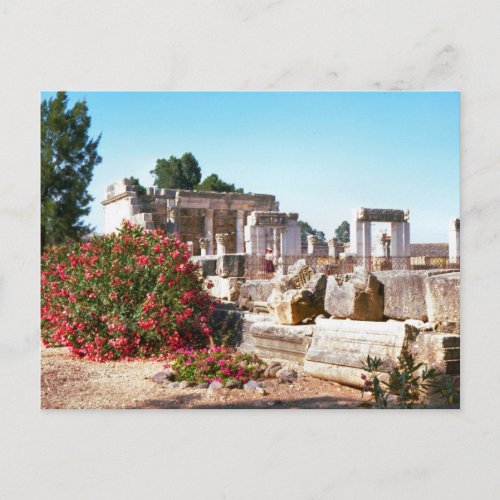 Ruins of Capernaum Galileo Postcard