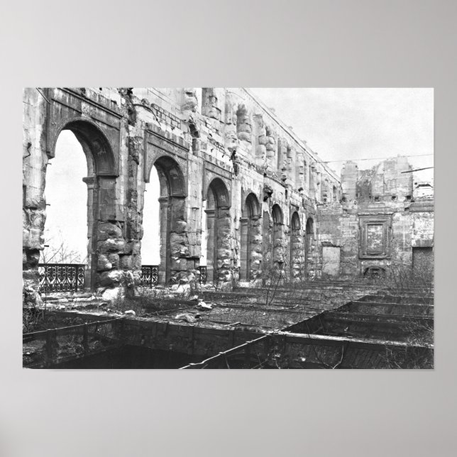 Ruins of the Cour des Comptes Poster (Front)