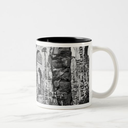 Ruins of the Storehouse Two_Tone Coffee Mug