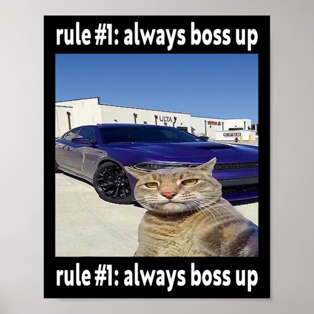Rule # 1 Always Boss Up Funny Cat Meme  Poster (Front)