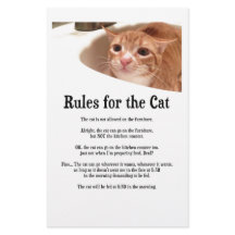 Rules for Cat