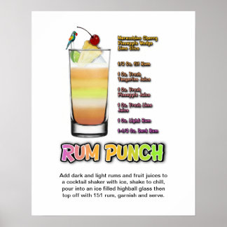 RUM PUNCH Cocktail Recipe 16" x 20" Art Poster