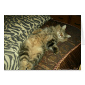 Rum Tum tummy (Front Horizontal)