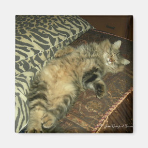 Rum Tum tummy Magnet