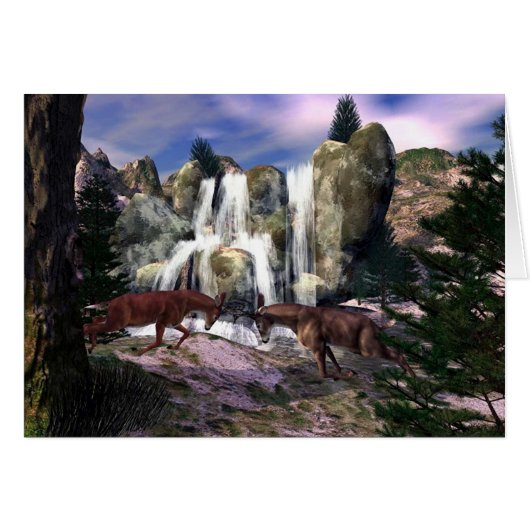 Rumble At The Falls Cards (Front Horizontal)