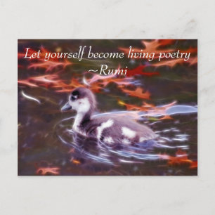 Rumi become living poetry postcard