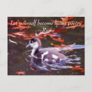 Rumi become living poetry postcard