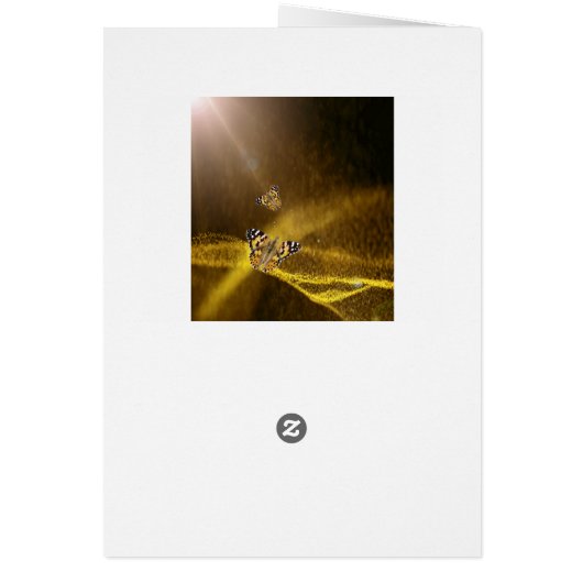 Rumi Fall in love again (Back)