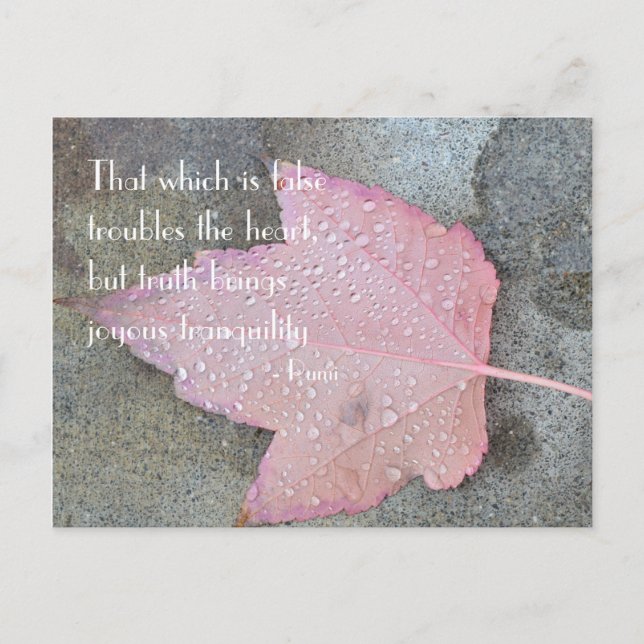 Rumi Quote Autumn Leaf Postcard (Front)