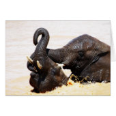 Rumi Soul joy (Front Horizontal)