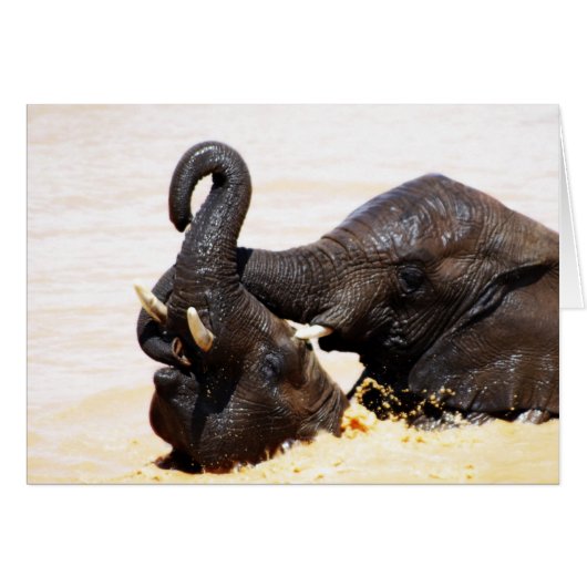 Rumi Soul joy (Front Horizontal)