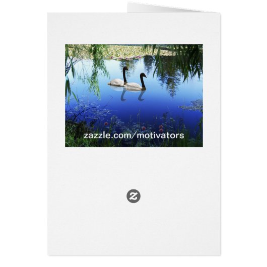 Rumi The wonders (Back)