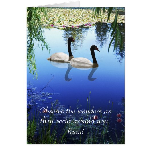 Rumi The wonders Cards (Front)