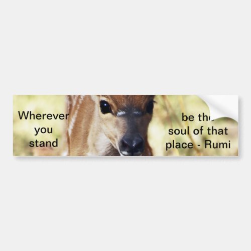 Rumi Wherever you stand Bumper Sticker