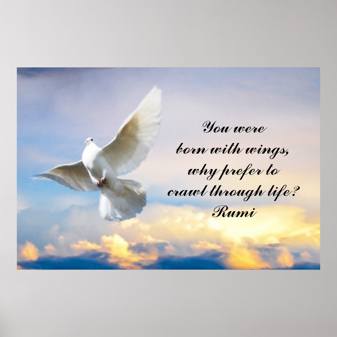 Rumi You were born with wings Poster Zazzle