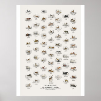 Ruminants - Naturalist's Library Poster