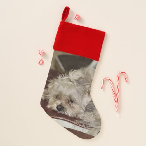 Rumple Christmas Stocking