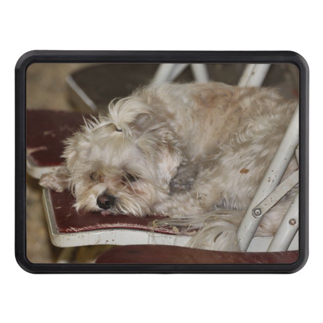 Rumple Trailer Hitch Cover (Front)