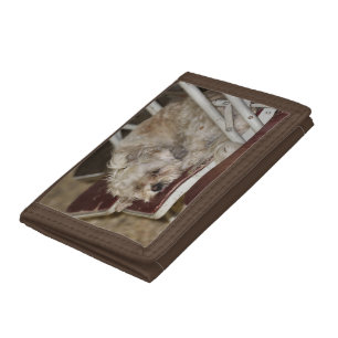 Rumple Trifold Wallet