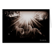 ~Run Andalusian Run~ (Front Horizontal)