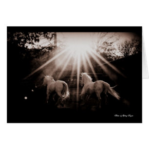 ~Run Andalusian Run~ Cards