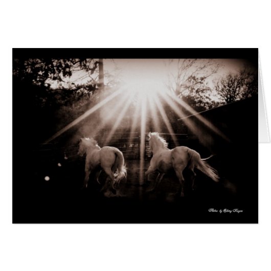 ~Run Andalusian Run~ Cards (Front Horizontal)