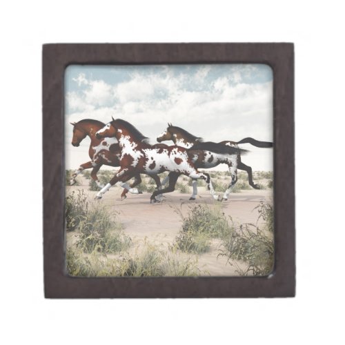 Run Like the Wind _ Galloping Paint Horses Gift Box