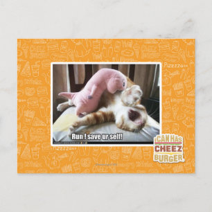 Run! Save ur self! Postcard