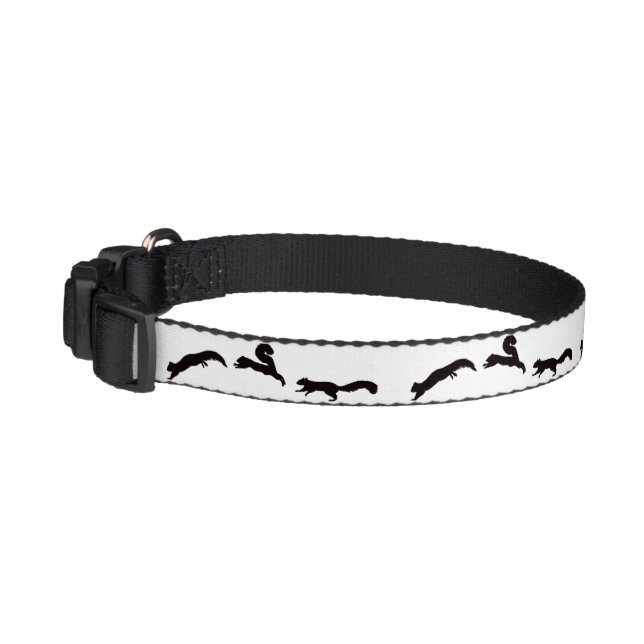 Run Squirrel Run Pet Collar (Left)