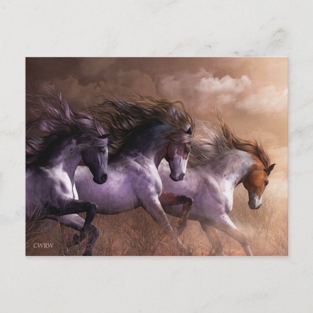 Run to Freedom Postcard (Front)