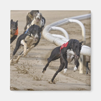 Run to the line magnet