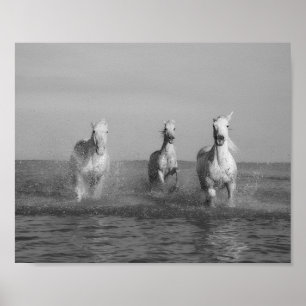 Run, white horses, ocean, fine art photography poster