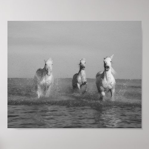 Run white  horses ocean fine art photography poster