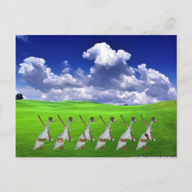 Runner duck army postcard (Front)