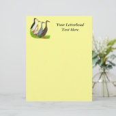 Runner Duck Assortment (Standing Front)