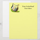 Runner Duck Assortment (Front/Back)