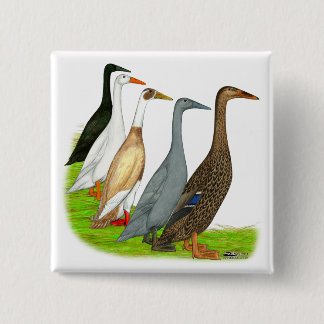 Runner Duck Assortment Button